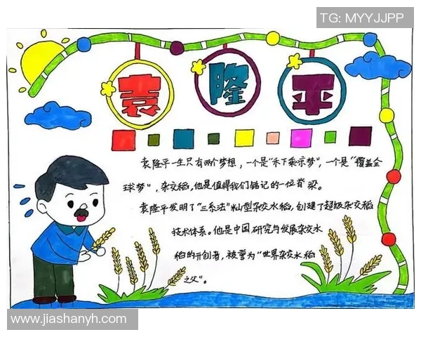 程帅澎的成长之路：从青涩少年到职场精英的奋斗故事